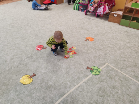 Poznáváme krásy lesa